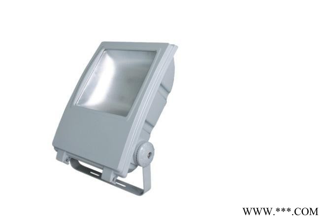 LED投光灯防水户外灯具室外泛光灯广告灯饰投射灯100W图2