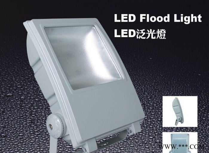 LED投光灯防水户外灯具室外泛光灯广告灯饰投射灯100W图1