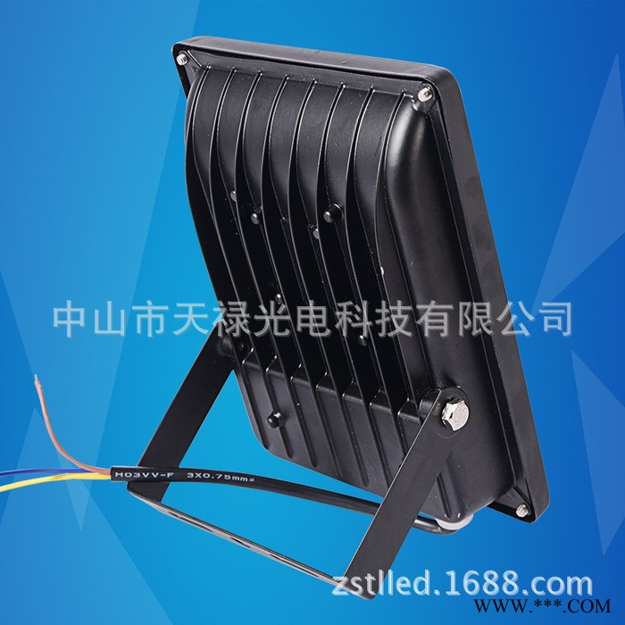 天禄TL-TG128030W低压LED投光灯30W太阳能投光灯专用户外广告招牌射灯12V24V36V72V图3