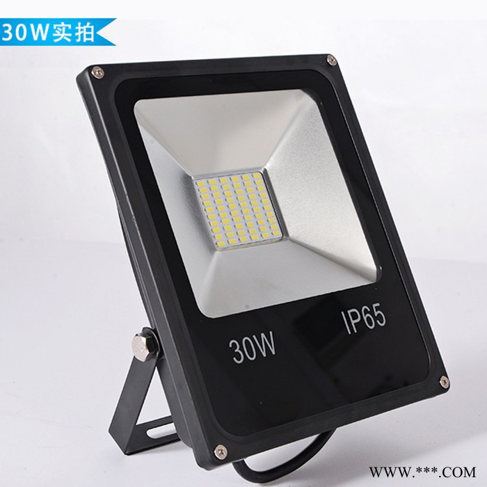 天禄TL-TG128030W低压LED投光灯30W太阳能投光灯专用户外广告招牌射灯12V24V36V72V图2