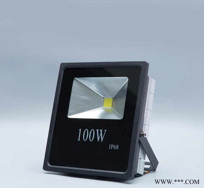 100W投光灯泛光灯LED防水投光灯投射灯广告灯直销图2