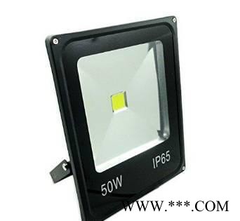 LED投光灯 投射灯户外50W100W防水厂房路灯广告灯具天棚灯庭院灯图3