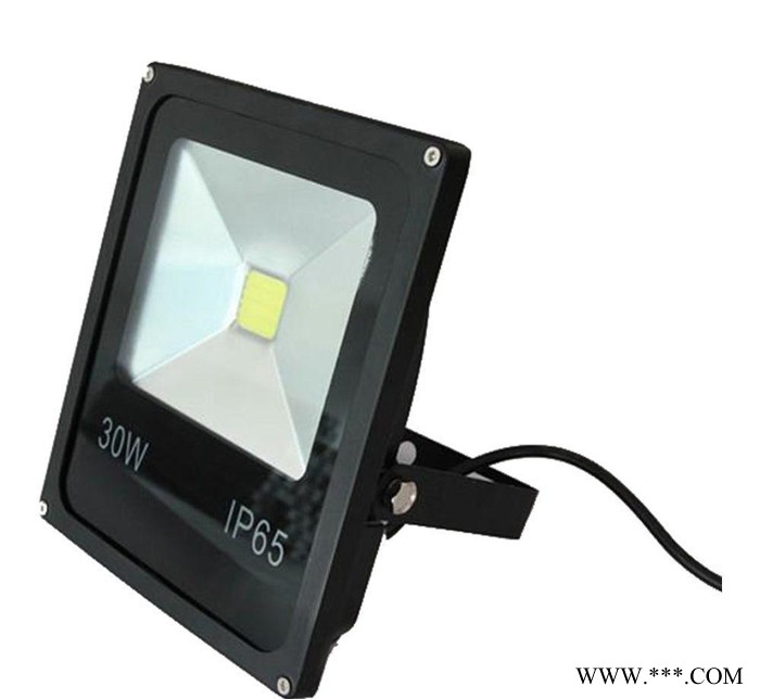 LED投光灯 投射灯户外50W100W防水厂房路灯广告灯具天棚灯庭院灯图1