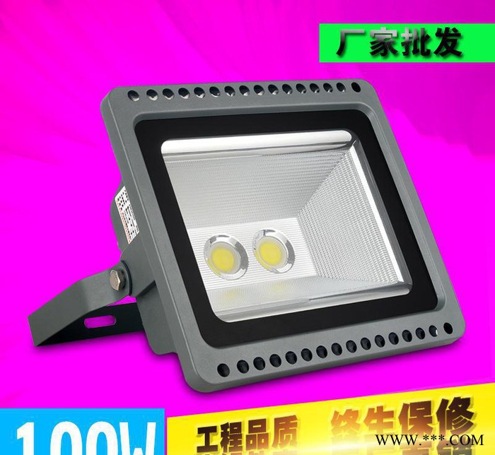LED金钻投光灯户外灯防水100W广告灯室外照明射灯厂房天棚路灯图2