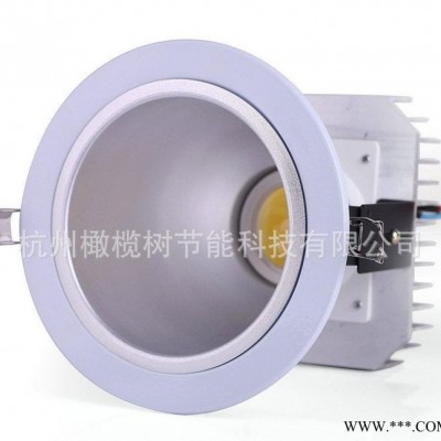 小额批发 6寸室内LED筒灯 30wled筒灯 GTG30/6
