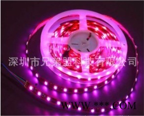 供应LED灯带、 广告灯、天花灯图2