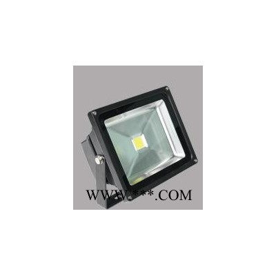 户外广告灯 防水30w led投光灯
