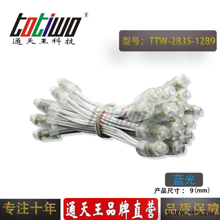 供应12V9MM蓝光外露灯串 贴片2835广告灯串 穿孔字灯串 LED外露灯串 LED灯串 led外露灯串图1