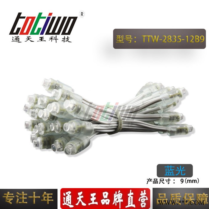供应12V9MM蓝光外露灯串 贴片2835广告灯串 穿孔字灯串 LED外露灯串 LED灯串 led外露灯串图2