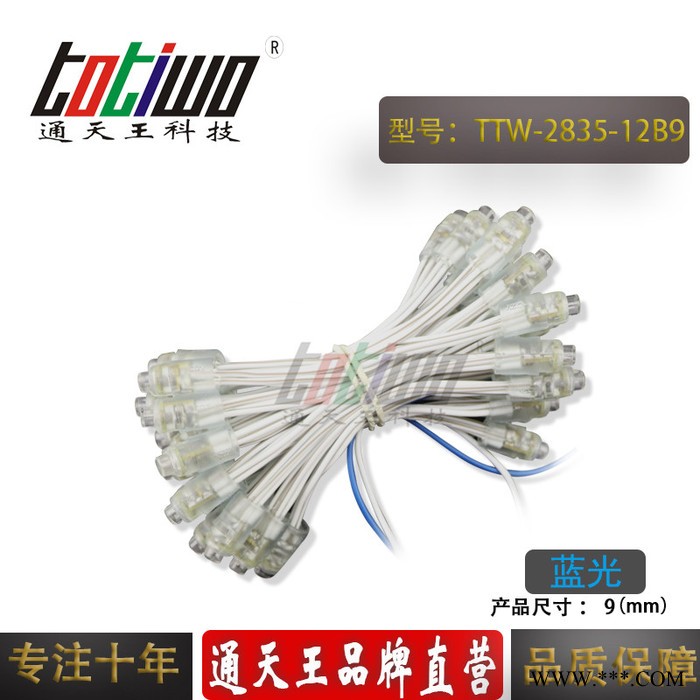 供应12V9MM蓝光外露灯串 贴片2835广告灯串 穿孔字灯串 LED外露灯串 LED灯串 led外露灯串图5