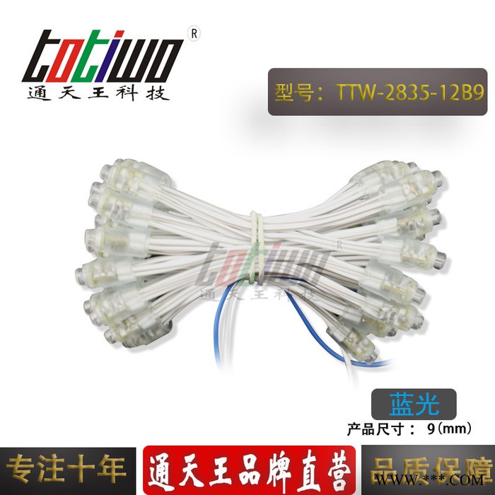 供应12V9MM蓝光外露灯串 贴片2835广告灯串 穿孔字灯串 LED外露灯串 LED灯串 led外露灯串图4