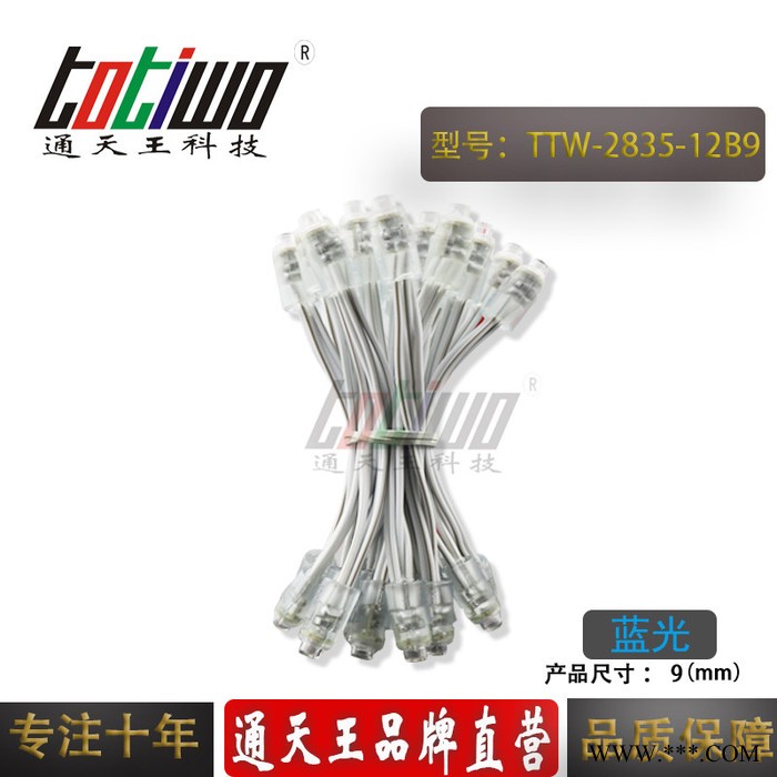 供应12V9MM蓝光外露灯串 贴片2835广告灯串 穿孔字灯串 LED外露灯串 LED灯串 led外露灯串图3