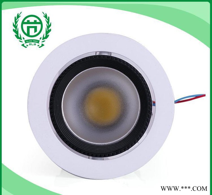大量销售 5寸可调角度LED筒灯 led明装天花筒灯图2