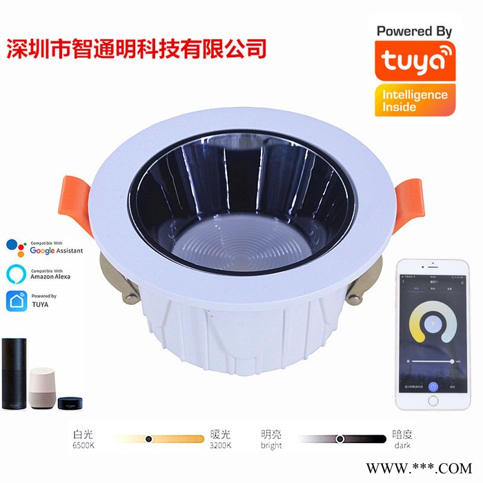 智通明 LED射灯,筒灯，WiFi涂鸦声控灯图3