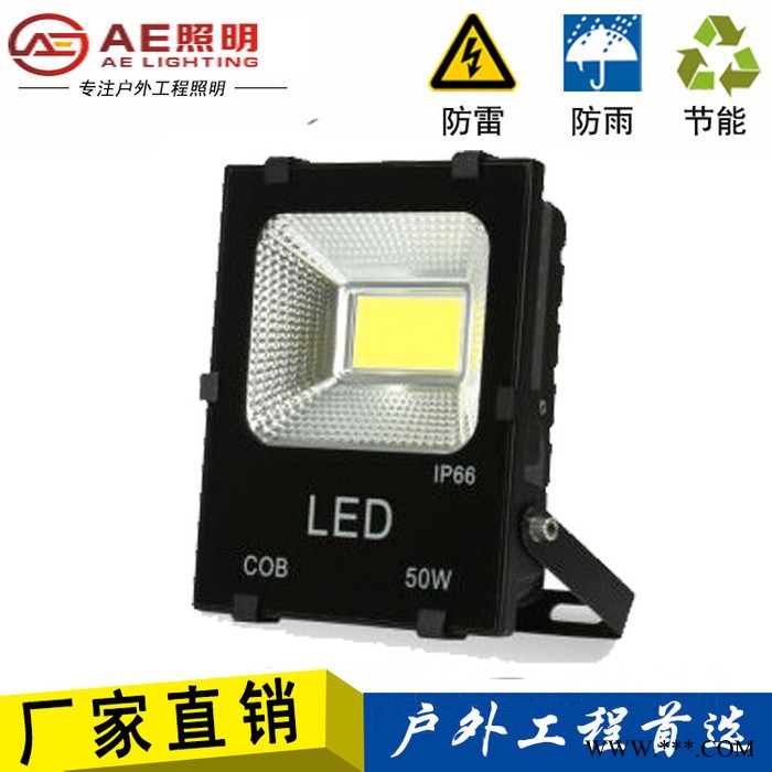 AE照明AE-TGD-03 LED投光灯户外防水投光灯广告灯招牌泛光灯投射灯室外灯50W