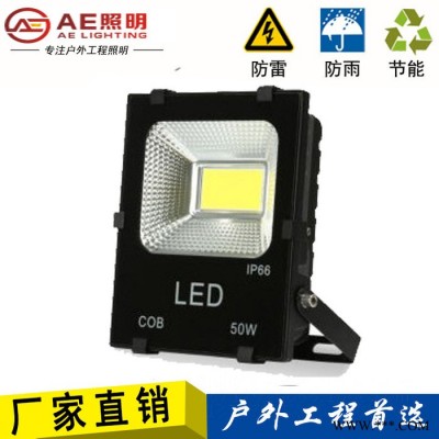 AE照明AE-TGD-03 LED投光灯户外防水投光灯广告灯招牌泛光灯投射灯室外灯50W