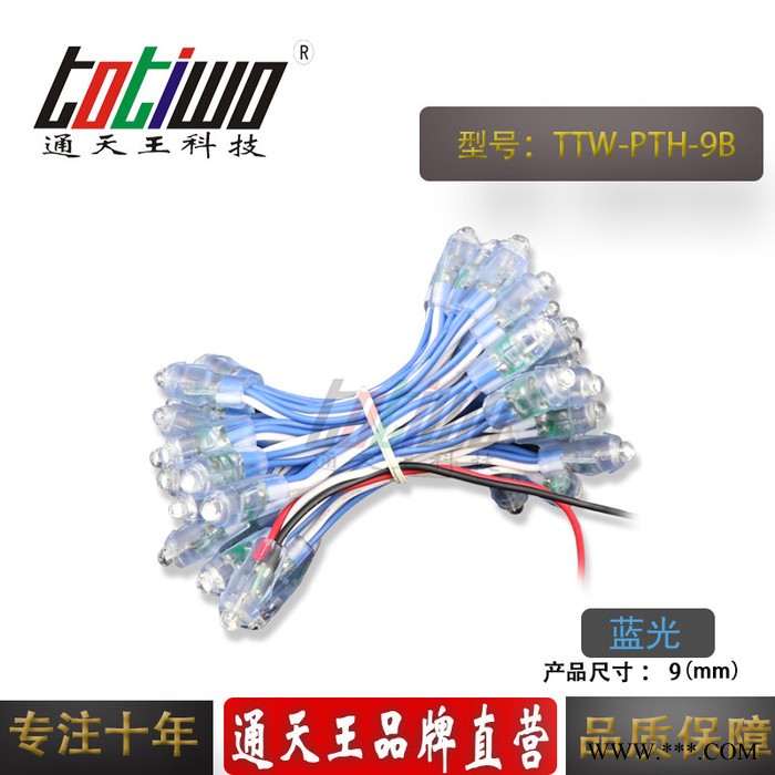 供应5V12V9MM蓝光外露灯串 广告灯串 穿孔字灯串 LED外露灯串 LED灯串图3