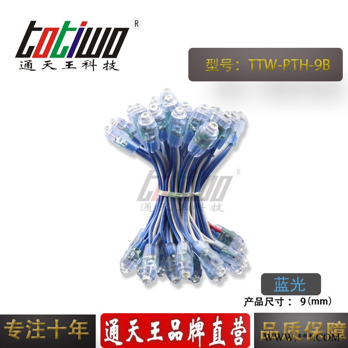 供应5V12V9MM蓝光外露灯串 广告灯串 穿孔字灯串 LED外露灯串 LED灯串图4