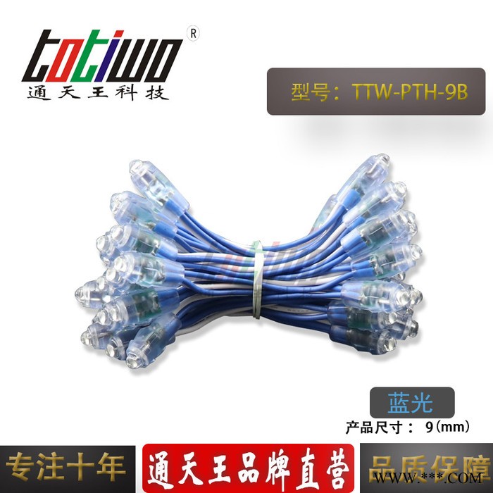 供应5V12V9MM蓝光外露灯串 广告灯串 穿孔字灯串 LED外露灯串 LED灯串图1