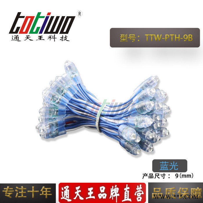供应5V12V9MM蓝光外露灯串 广告灯串 穿孔字灯串 LED外露灯串 LED灯串图5