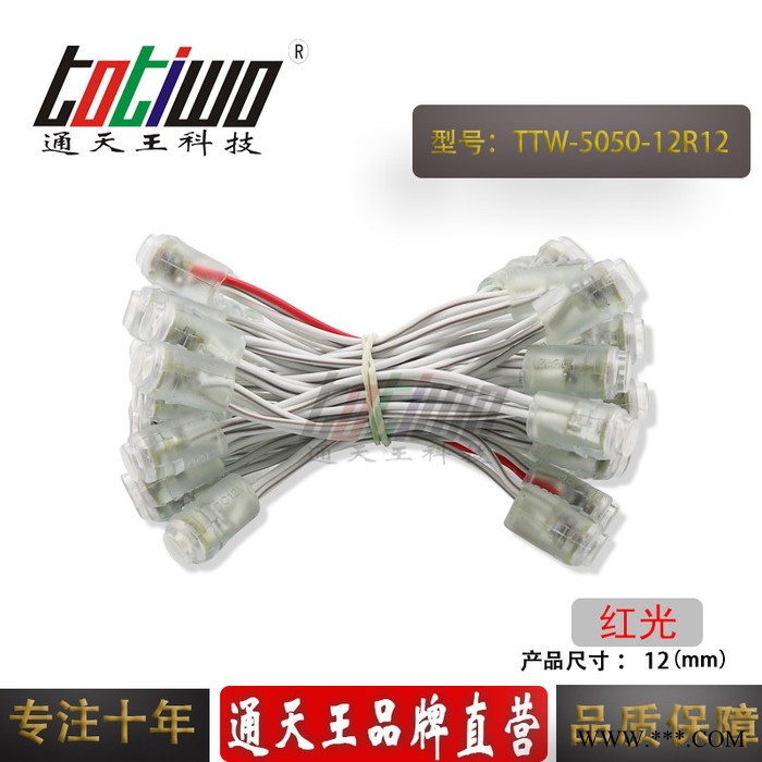 供应12V12MM红光外露灯串 贴片5050广告灯串 穿孔字灯串 LED外露灯串 LED灯串 led外露灯串图5