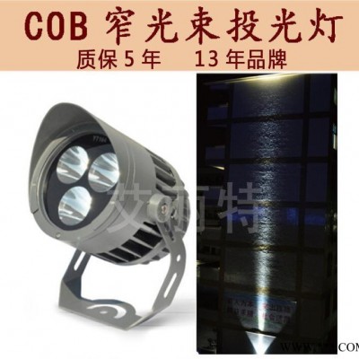 LED投射柱子灯 亮化工程灯 户外墙壁  桥梁柱子专用 COB投光灯A
