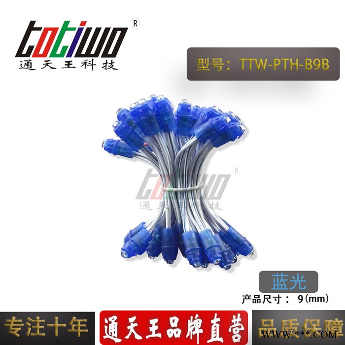 供应5V12V9MM蓝胶蓝光外露灯串 广告灯串 穿孔字灯串 LED外露灯串 LED灯串图2