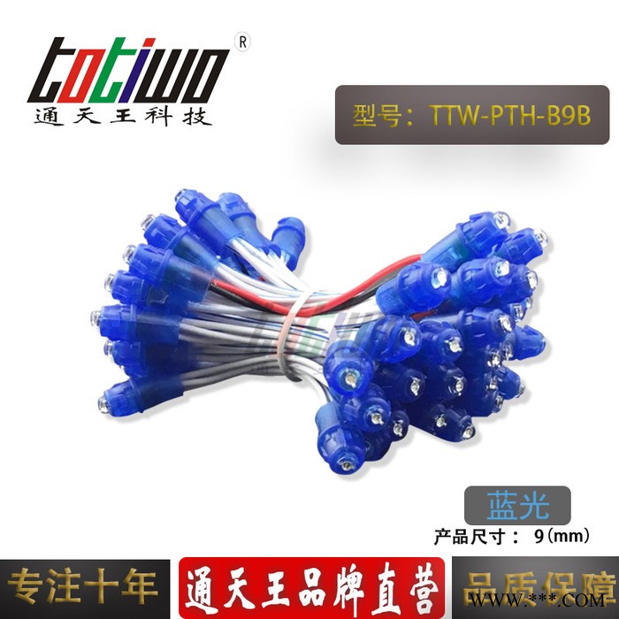 供应5V12V9MM蓝胶蓝光外露灯串 广告灯串 穿孔字灯串 LED外露灯串 LED灯串图4