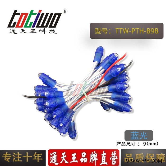 供应5V12V9MM蓝胶蓝光外露灯串 广告灯串 穿孔字灯串 LED外露灯串 LED灯串图5