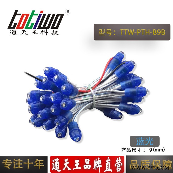 供应5V12V9MM蓝胶蓝光外露灯串 广告灯串 穿孔字灯串 LED外露灯串 LED灯串图1