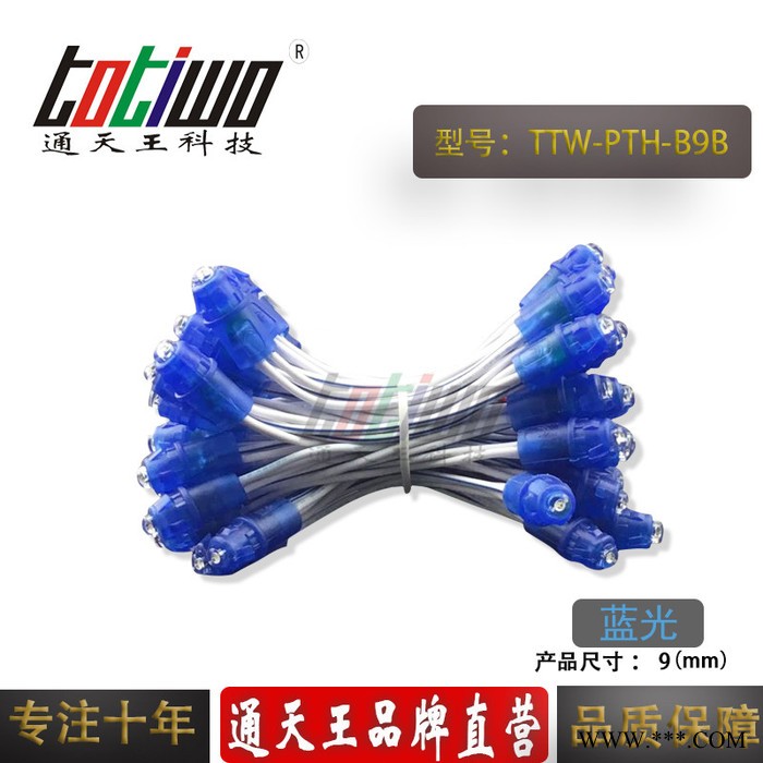 供应5V12V9MM蓝胶蓝光外露灯串 广告灯串 穿孔字灯串 LED外露灯串 LED灯串图3