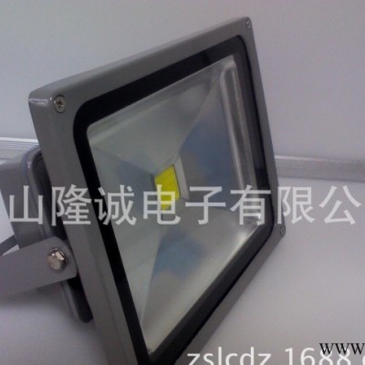 户外防水广告灯 LED照树灯 **园林工程灯 高品质质保三