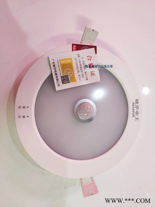 敏华 应急筒灯图4