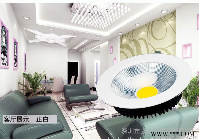 直销高品质COB筒灯20W30进口光源图1