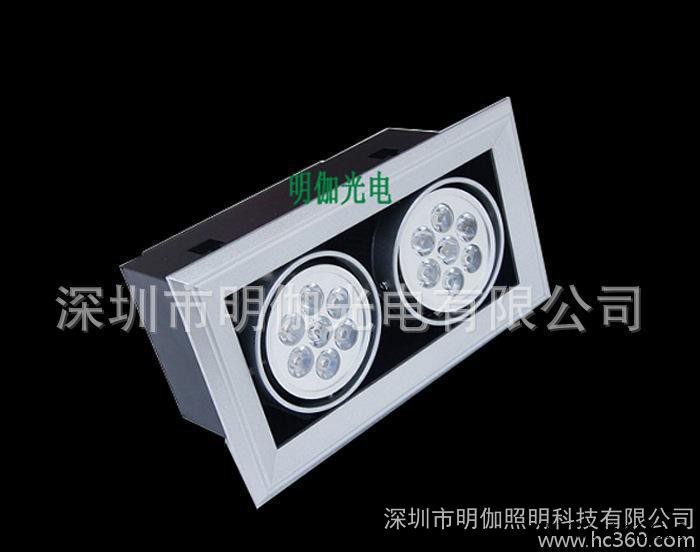 led筒灯LED斗胆灯 2*12W斗胆灯 24WLED豆胆灯