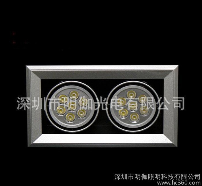 led筒灯LED斗胆灯 2*12W斗胆灯 24WLED豆胆灯图3