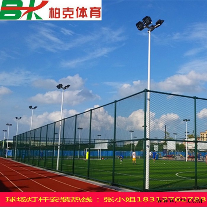 户外广场 工程改造道路灯杆** 羽毛球场10米广告灯杆批发图7