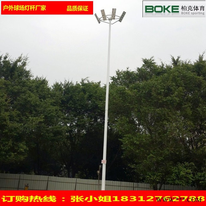 户外广场 工程改造道路灯杆** 羽毛球场10米广告灯杆批发图4
