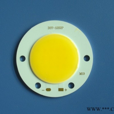 供应FLMFLM19筒灯12W-COB光源
