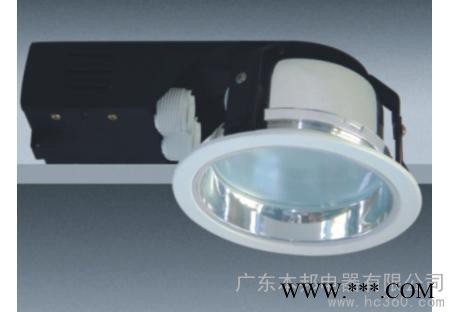 供应本邦新名雅2X13W横插筒灯图3