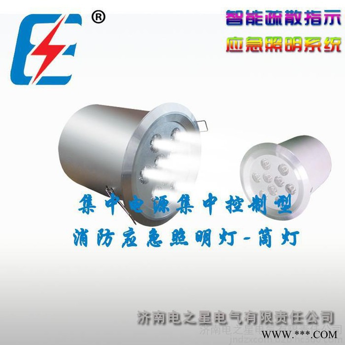 济南电之星 集中电源集中控制型消防应急照明灯 筒灯 智能应急照明系统