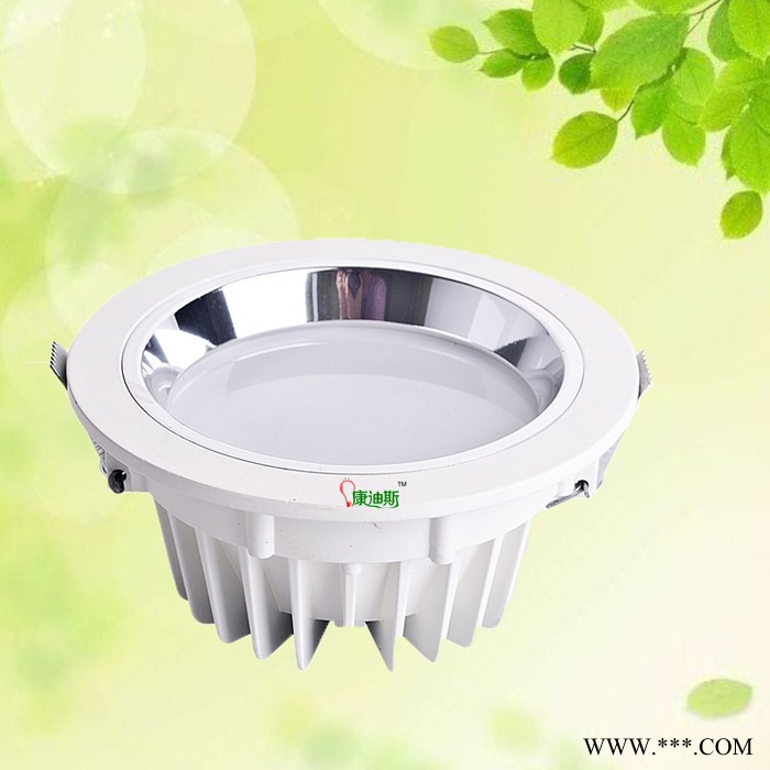 供应康迪斯KDSKDS-TD-001天花灯 筒灯 10w 20W图2