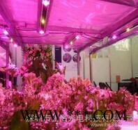新款植物生长灯筒灯面板灯植物补偿筒灯室内种植大棚植物补偿