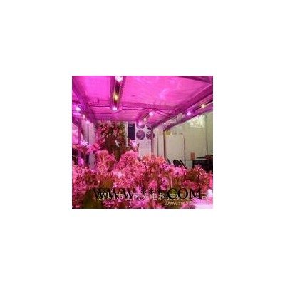 新款植物生长灯筒灯面板灯植物补偿筒灯室内种植大棚植物补偿