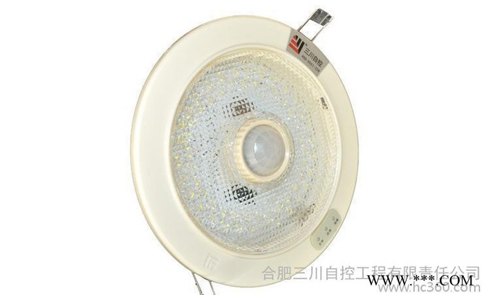 人体感应led筒灯 led消防应急灯 消防应急灯 集中电源应急灯图3