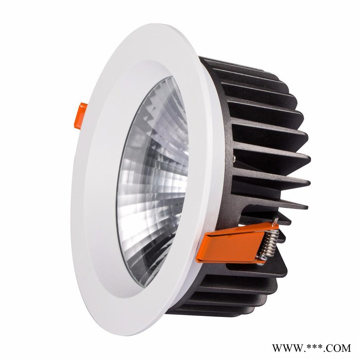爱登LED工程筒灯 LED Downlight 10W图2
