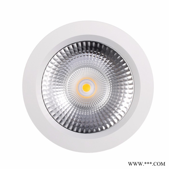 爱登LED工程筒灯 LED Downlight 10W图3