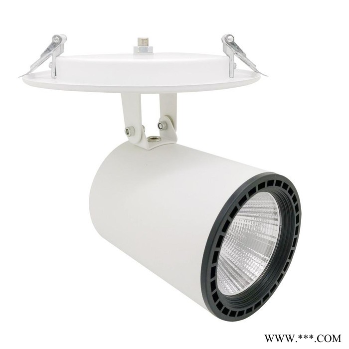 普尔思嵌入式万向轨道灯 吸顶式 可转动筒灯 COB 30W 珠宝服装店展示 轨道灯 射灯 导轨射灯 导轨灯图4