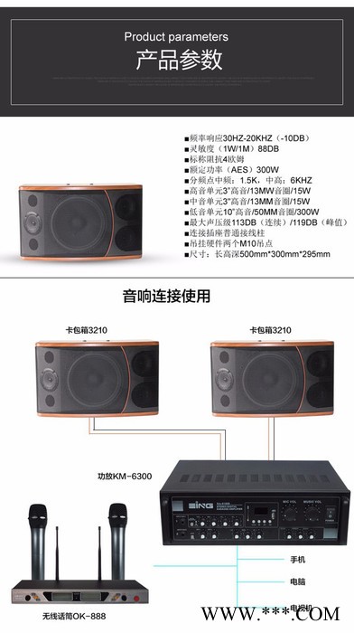 狼牙5310 10寸卡包箱音箱会议音箱舞台KTV家用音响定阻4欧300W