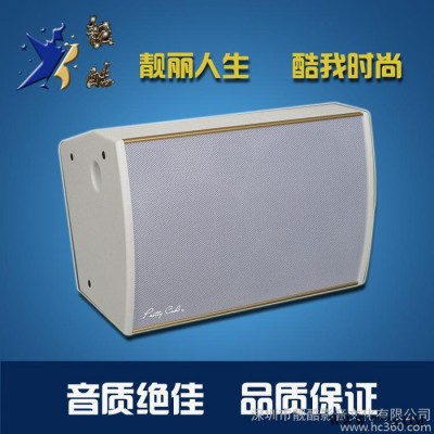 音箱 专业音箱   舞台影箱